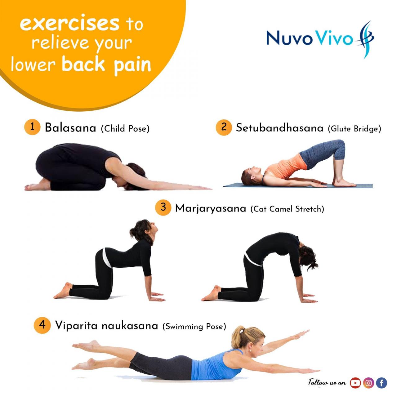 Exercises lower back stenosis pain exercise men spinal physio stretches physiotherapy therapy lumbar physical muscle low workout maya strengthening sciatica